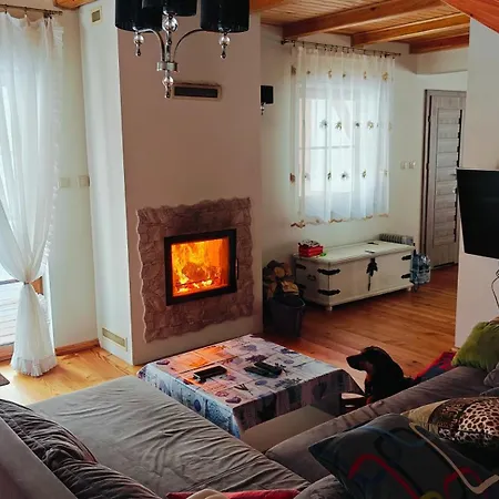 Dom Pod Brzózkami Na Uboczu Сasa de vacaciones *