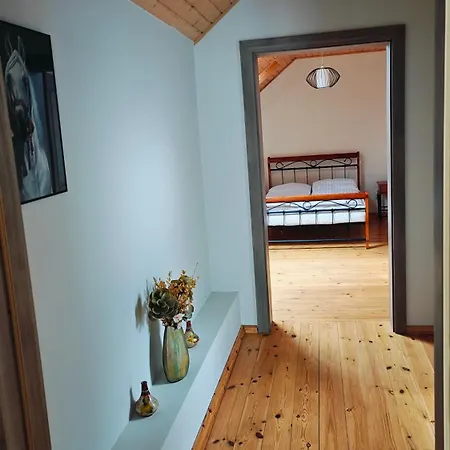 Dom Pod Brzozkami Na Uboczu Casa vacanze